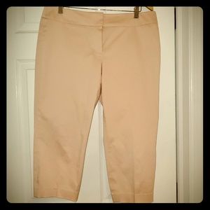 NWOT Perfect pink capri pants
